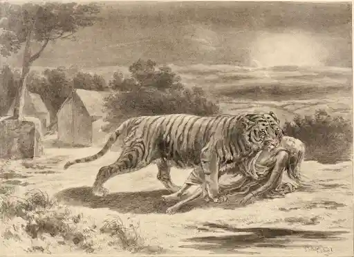 An illustration depicting the terror of Champavat Maneater. Source: Wikimedia commons