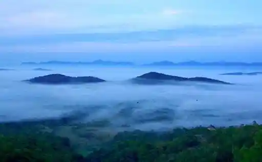 The serene hills of Coorg (Source: Pinterest)