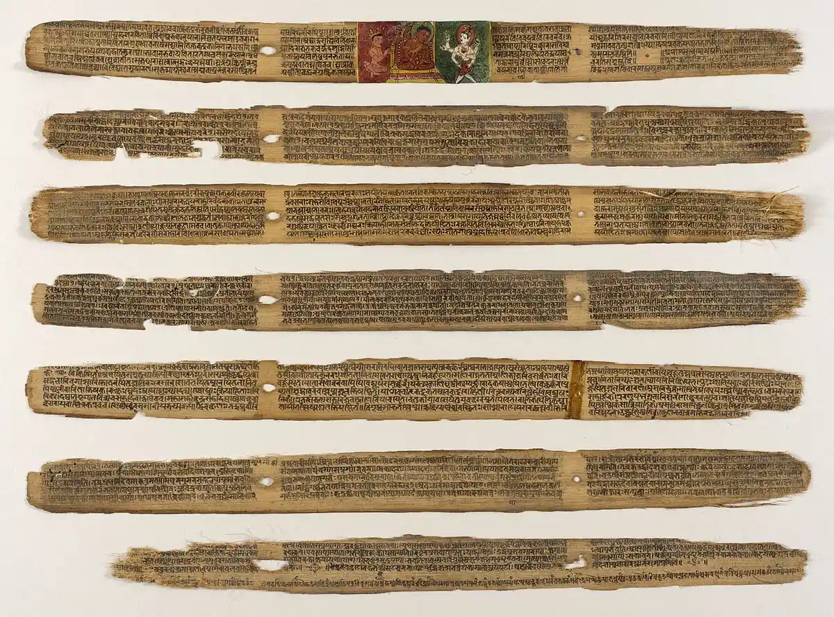 Leaflets from Susruta-Samhita or Sahottara-Tantra, 12th-13th century from Nepal. Image credits: Wikimedia Commons