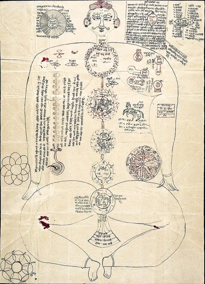Subtle body & chakra system from manuscript painting. Image Source: Wikimedia Commons