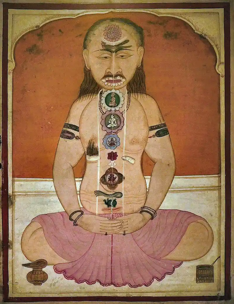 Manuscript picture of a yogin, illustrates the chakras and the subtle body's three primary nāḍī. The Kundalini snake rises from the base of the central nāḍī. Image Credits: Wikimedia Commons