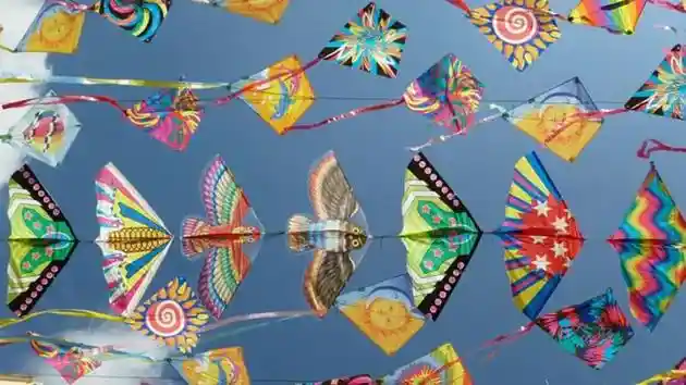 The beautiful kites that encompass the sky near the days of Makar Sankranti; Image source: Hindustan Times