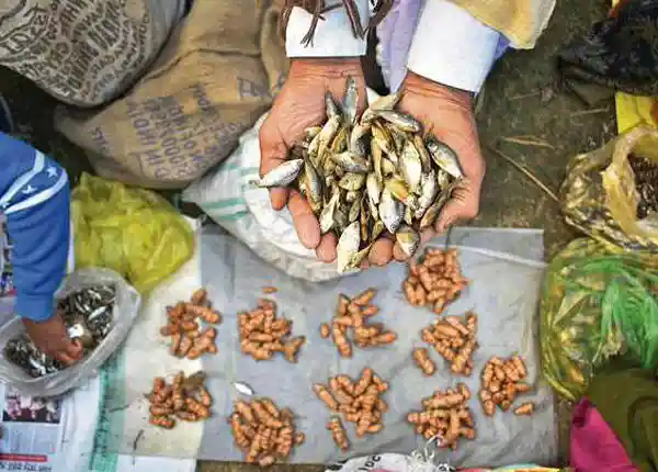 food items in the mela (image source: pratidintimes)