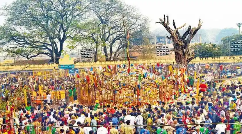 Telangana's Tribal Fair: Sammakka-Sarakka Jatara - Civilsdaily
