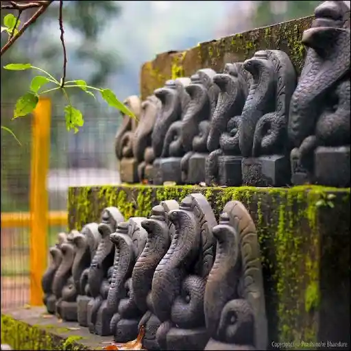Idols of Snakes used to worship in houses, also in Nag Panchami; Image Source: NavarangIndia