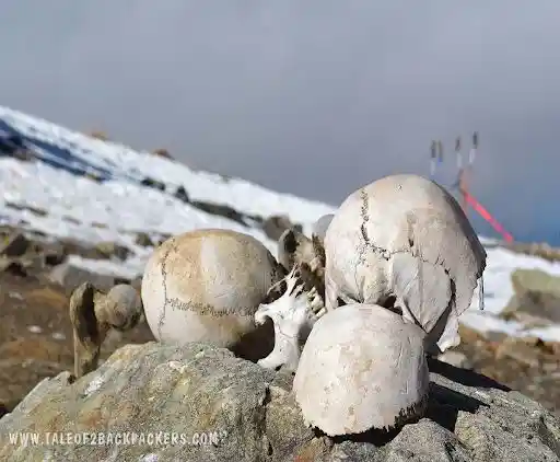 Human Skulls found in Roopkund Lake, Image source- Tale of 2 Backpackers