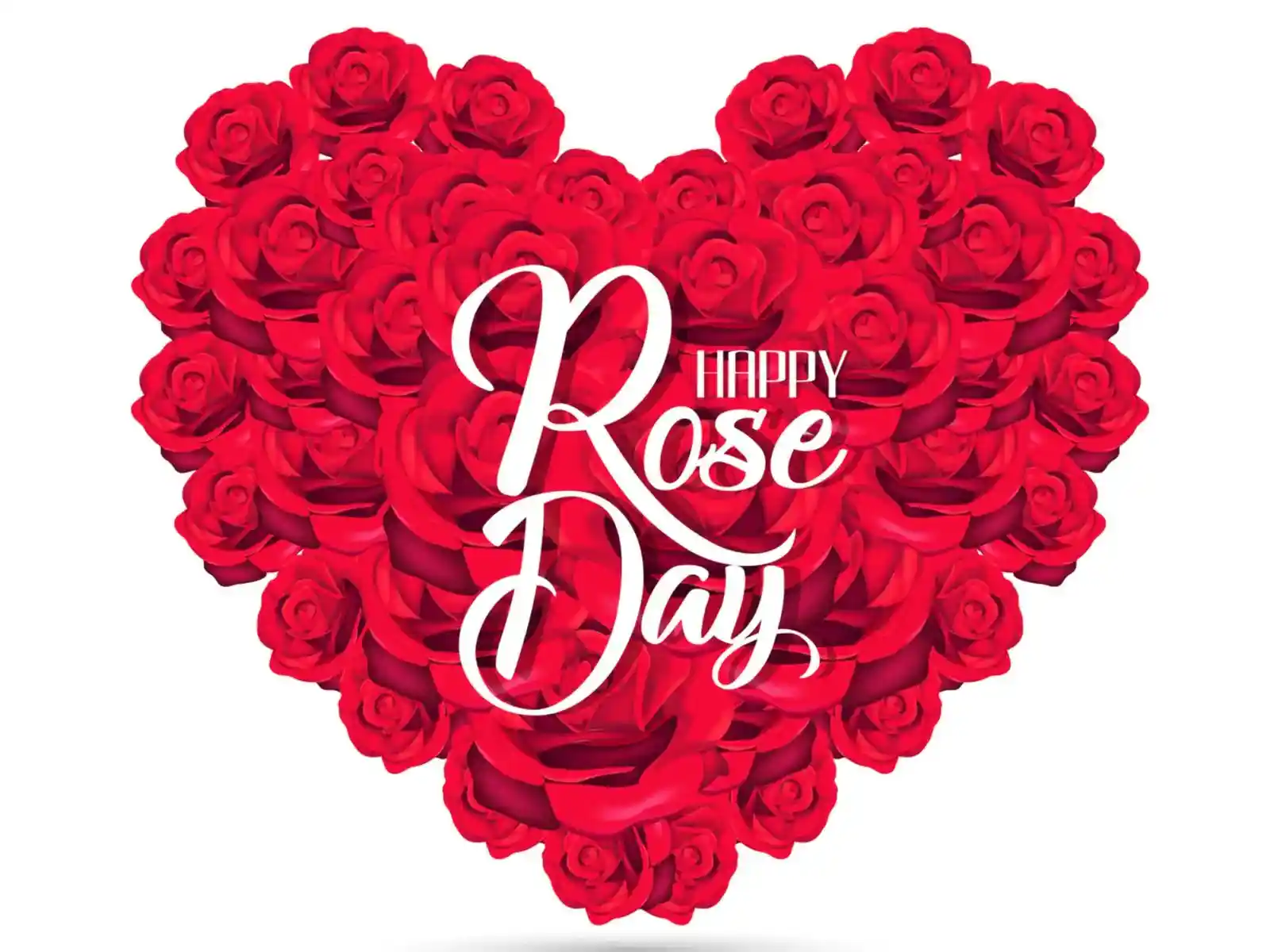 Happy rose day 